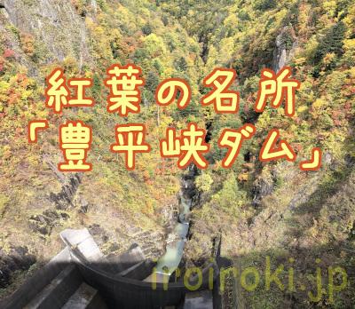 豊平峡ダムは紅葉の名所です！