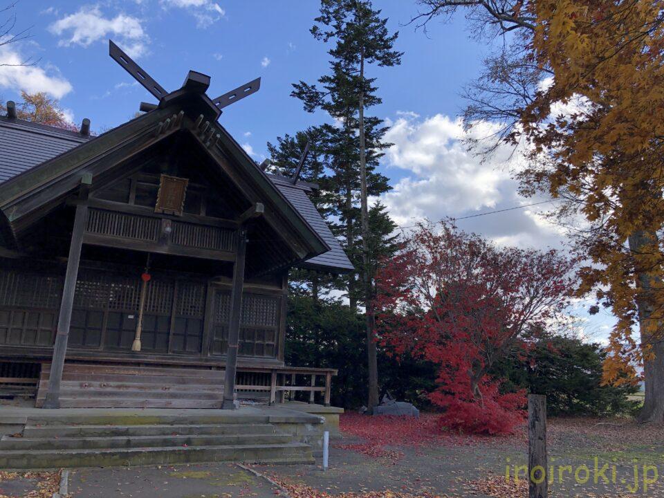 芽生神社の社殿と紅葉